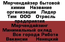 Мерчендайзер бытовой химии › Название организации ­ Лидер Тим, ООО › Отрасль предприятия ­ Мерчендайзинг › Минимальный оклад ­ 24 800 - Все города Работа » Вакансии   . Ненецкий АО,Волоковая д.